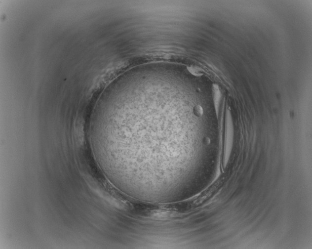 X0000063480504200601231350