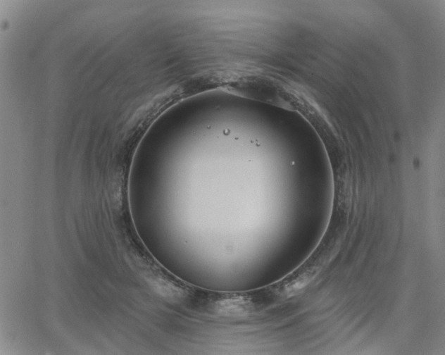 X0000063480505200601231350