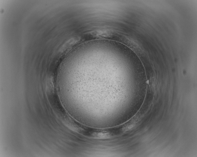 X0000063480506200601231350