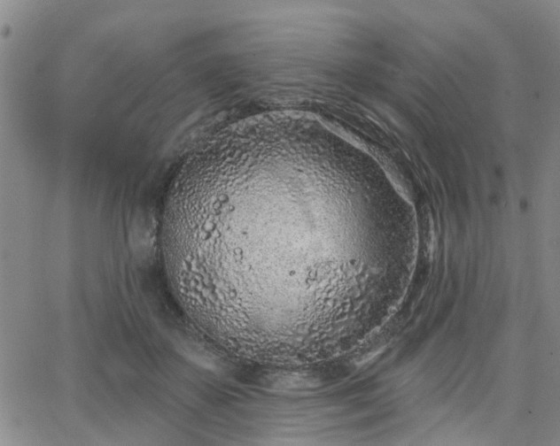 X0000063480507200601231350