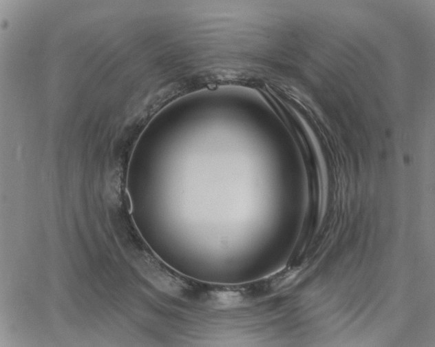 X0000063480509200601231350