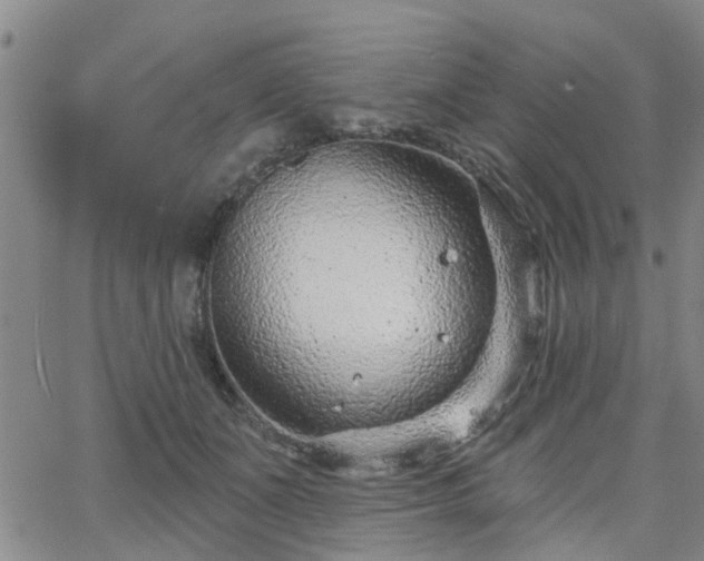 X0000063480511200601231350