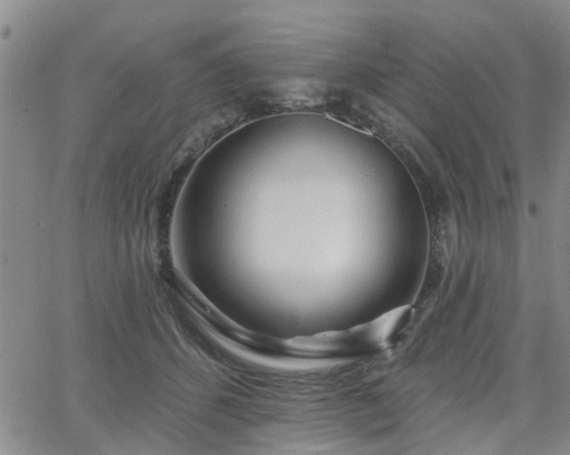 X0000063480512200601231350