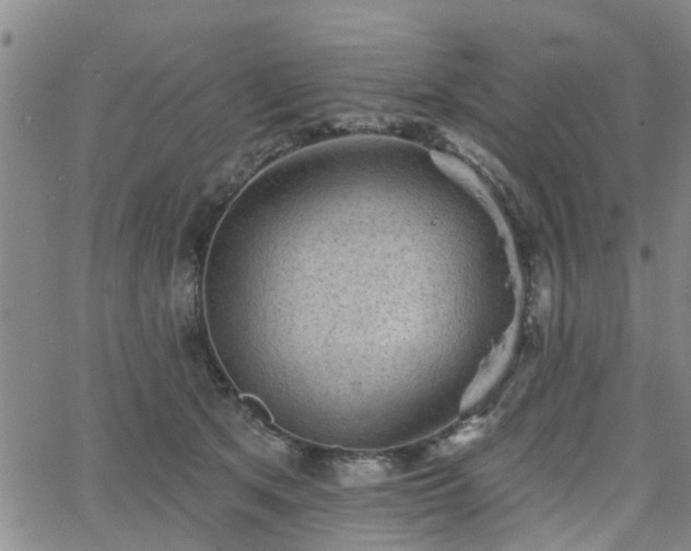 X0000063480513200601231350