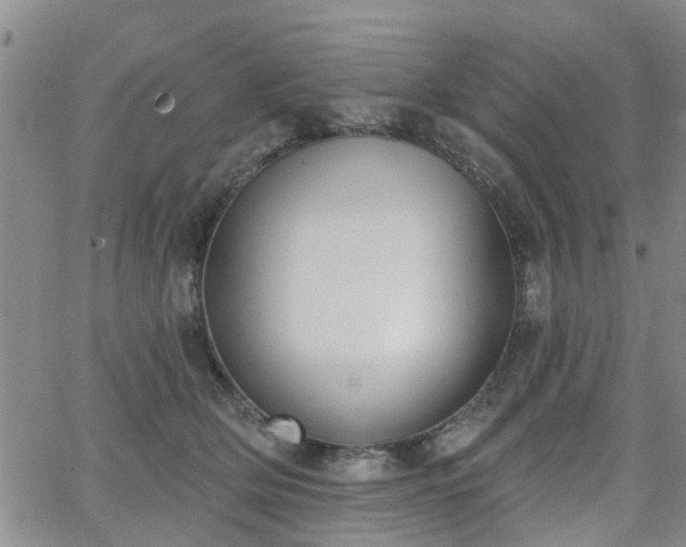 X0000063480514200601231350