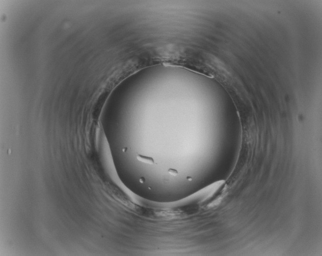 X0000063480516200601231350