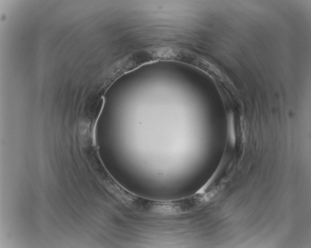 X0000063480521200601231350