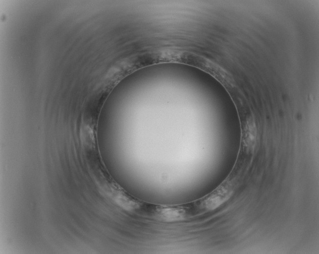 X0000063480522200601231350