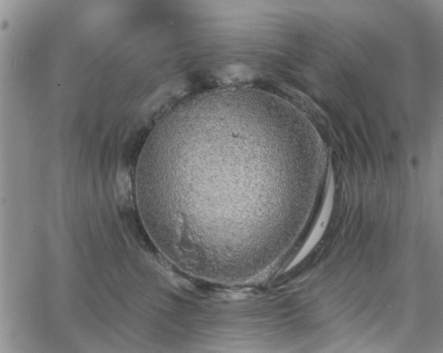 X0000063480523200601231350