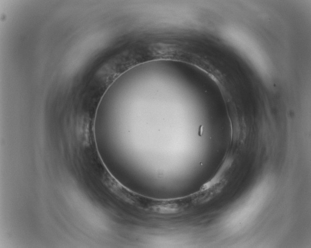 X0000063480525200601231350