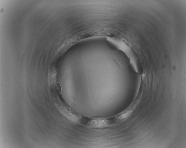 X0000063480526200601231350