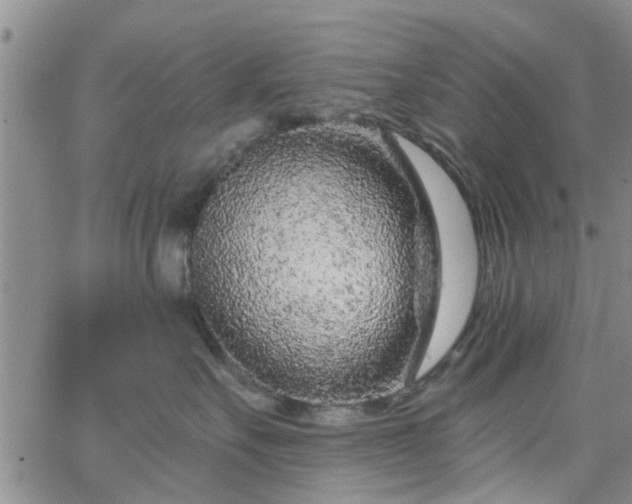 X0000063480527200601231350