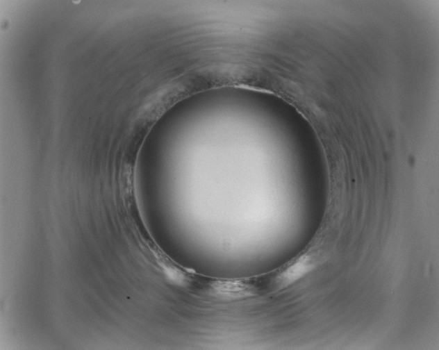 X0000063480528200601231350