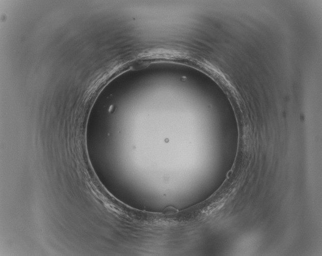 X0000063480529200601231349