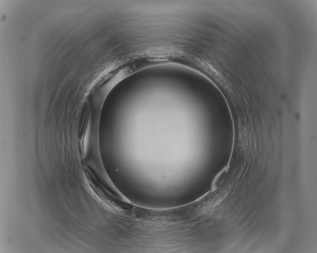 X0000063480530200601231349