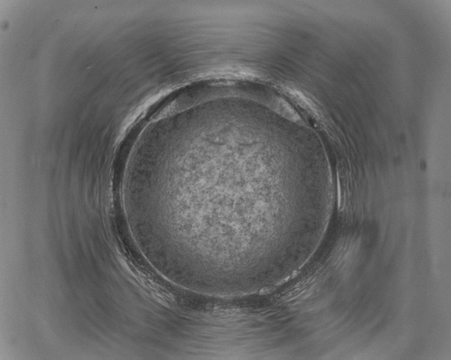 X0000063480531200601231349