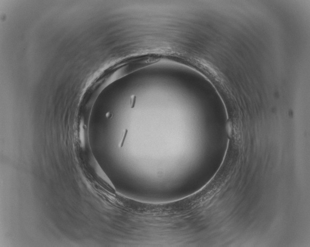 X0000063480532200601231349