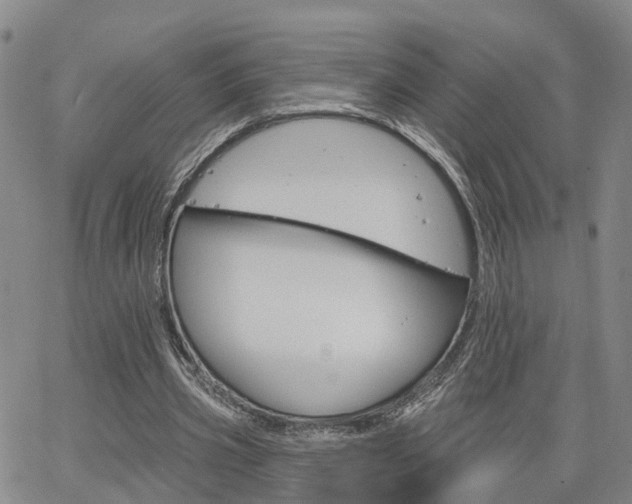 X0000063480533200601231349