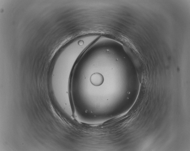 X0000063480534200601231349