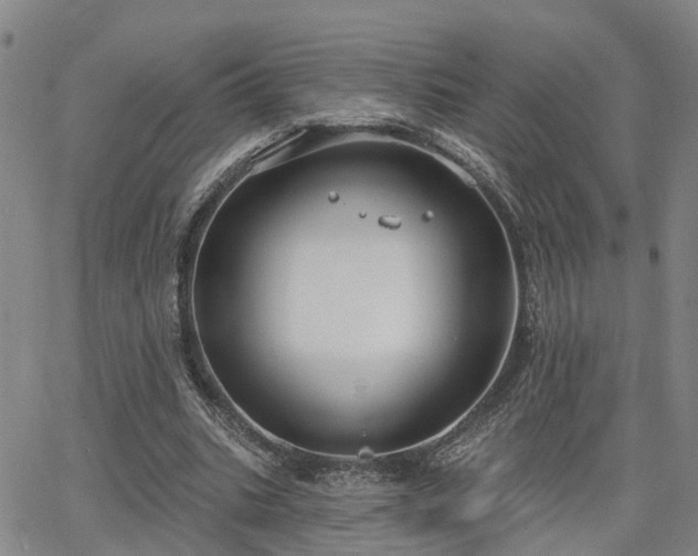 X0000063480535200601231349