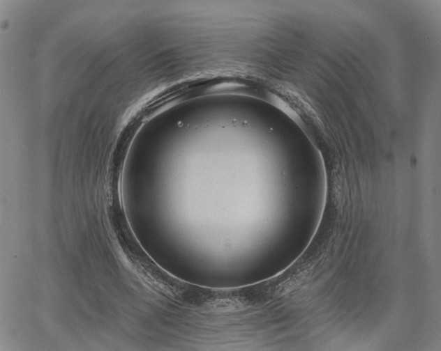 X0000063480536200601231349