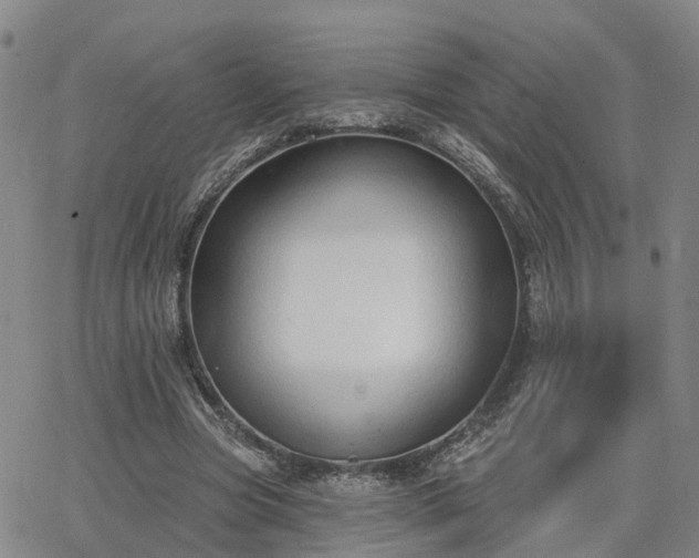 X0000063480537200601231349