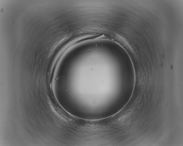 X0000063480538200601231349