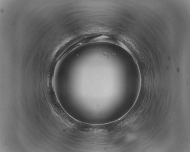 X0000063480539200601231349