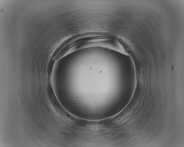 X0000063480540200601231349