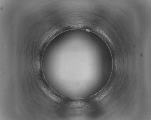 X0000063480541200601231349