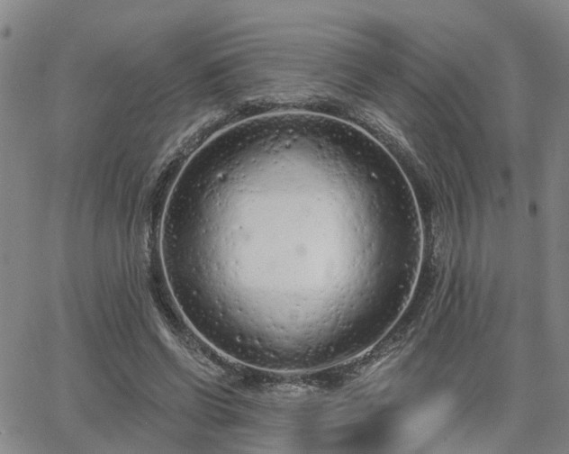 X0000063480542200601231349