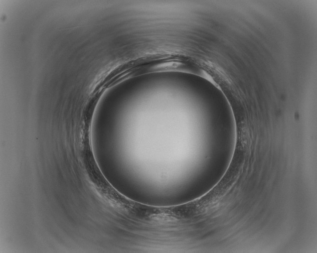 X0000063480544200601231349