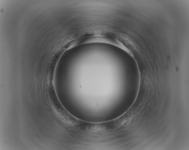 X0000063480546200601231349