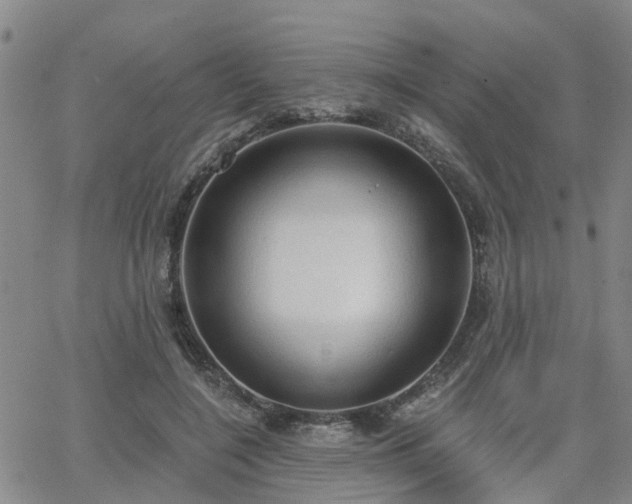 X0000063480548200601231349