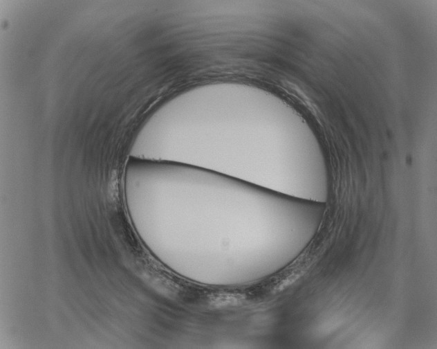 X0000063480549200601231349