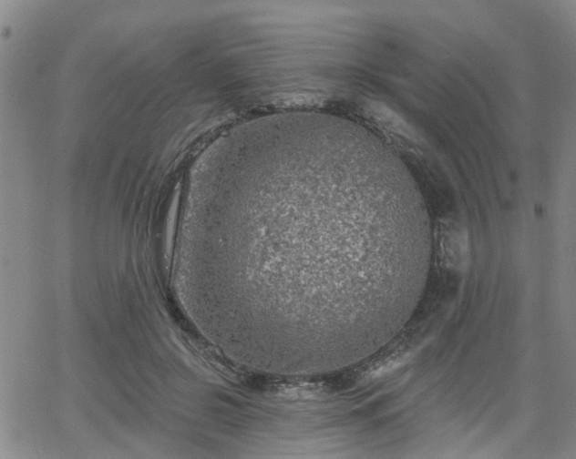 X0000063480550200601231349