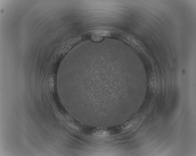 X0000063480551200601231349