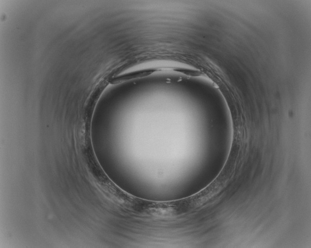 X0000063480552200601231349