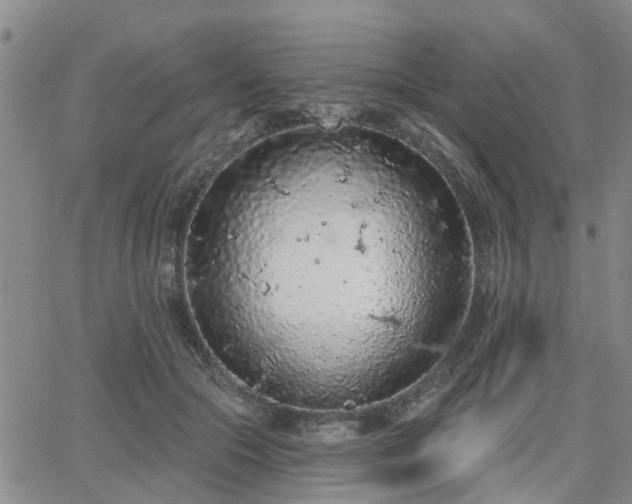 X0000063480553200601231349