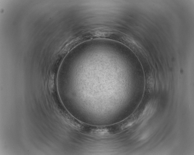 X0000063480554200601231349