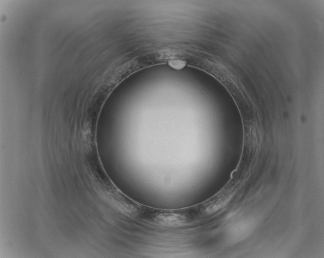 X0000063480557200601231349