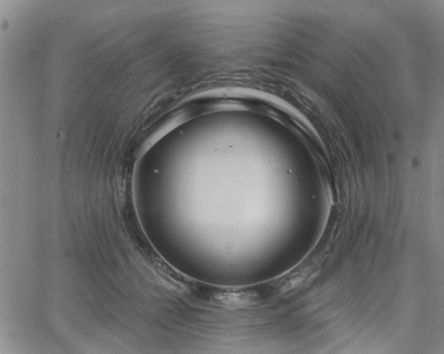 X0000063480558200601231350