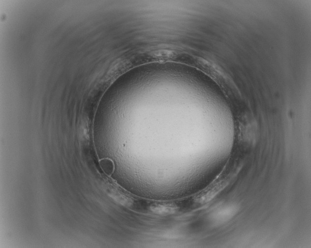 X0000063480561200601231350