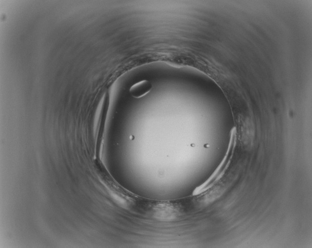 X0000063480562200601231350