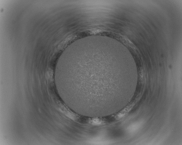 X0000063480565200601231350