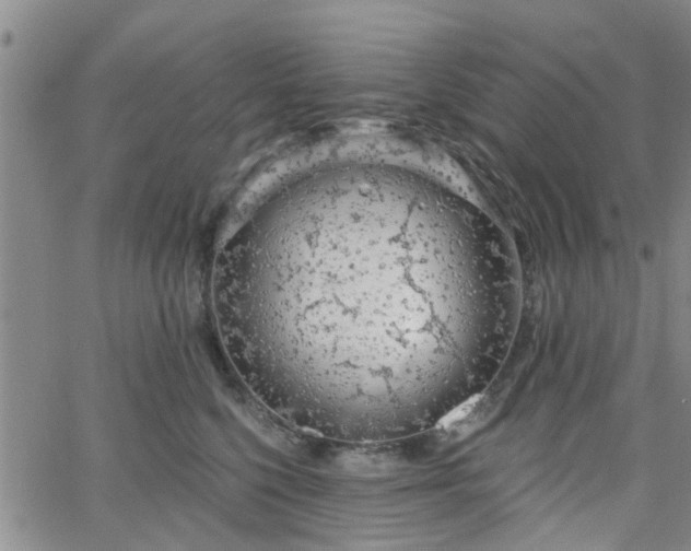 X0000063480568200601231350