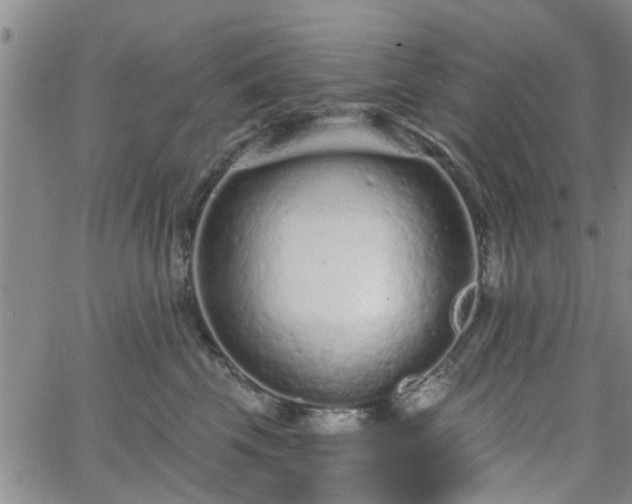 X0000063480569200601231350