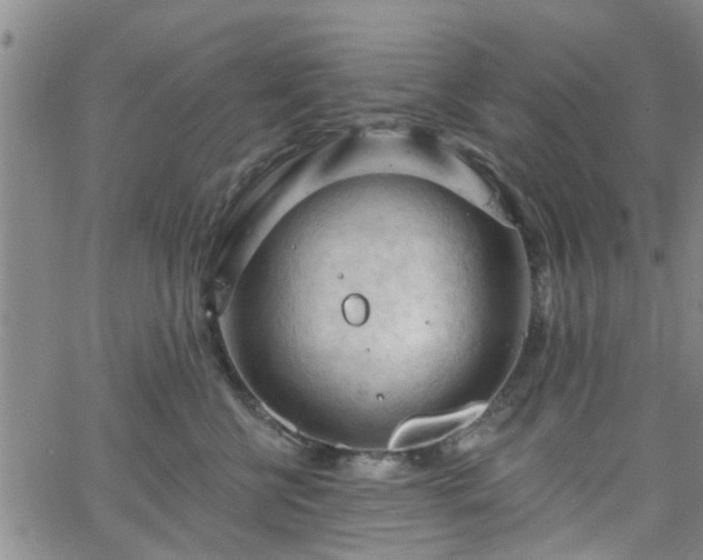 X0000063480570200601231350