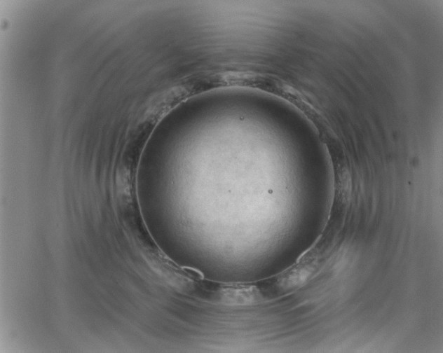 X0000063480571200601231350