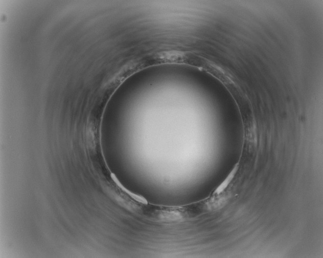 X0000063480572200601231350